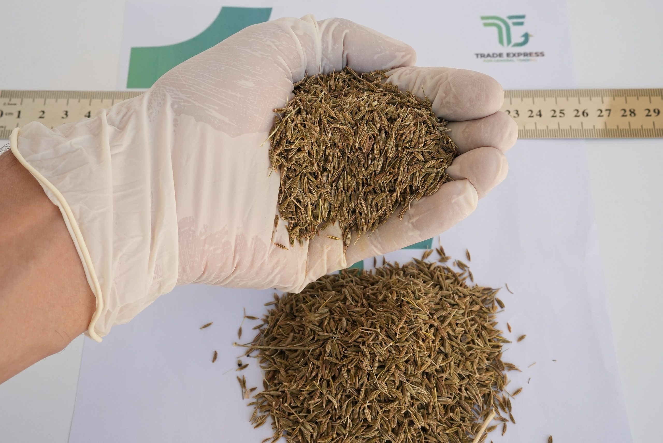 CUMIN - Image 2