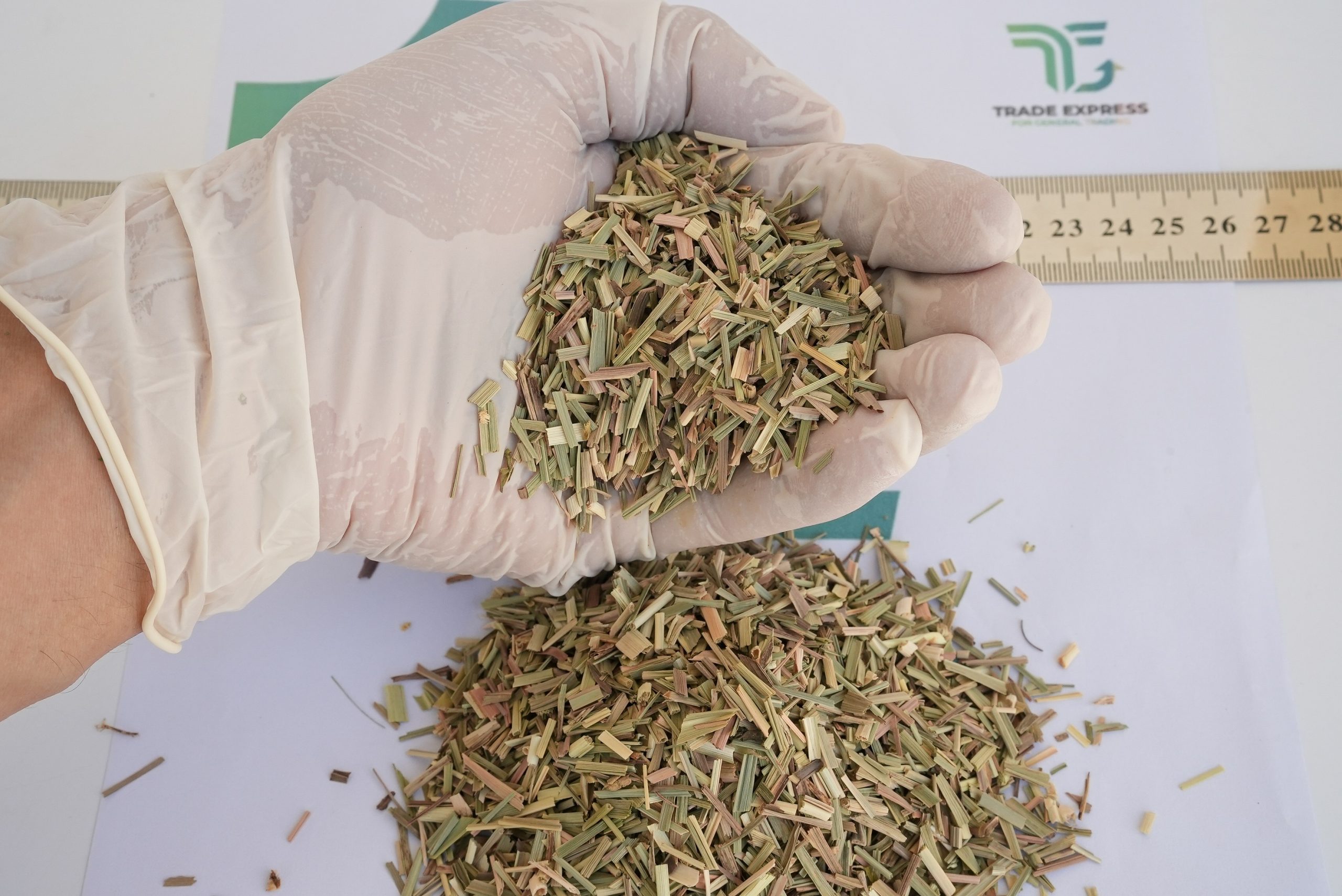 LEMON GRASS - Image 3
