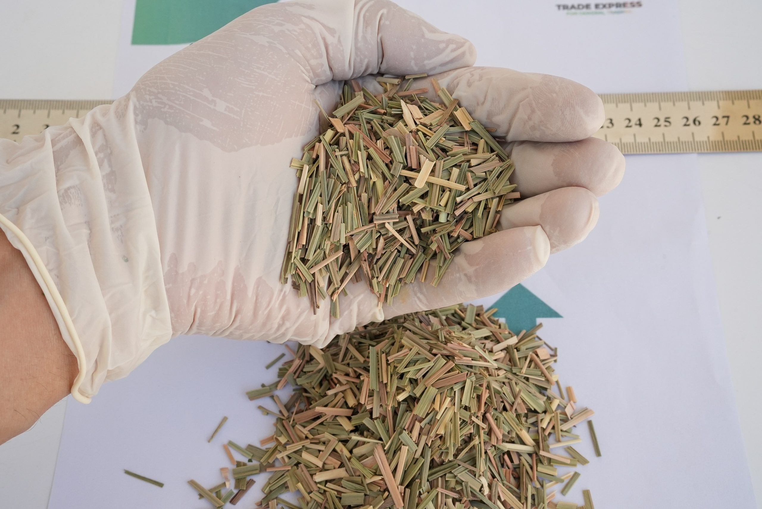 LEMON GRASS - Image 5