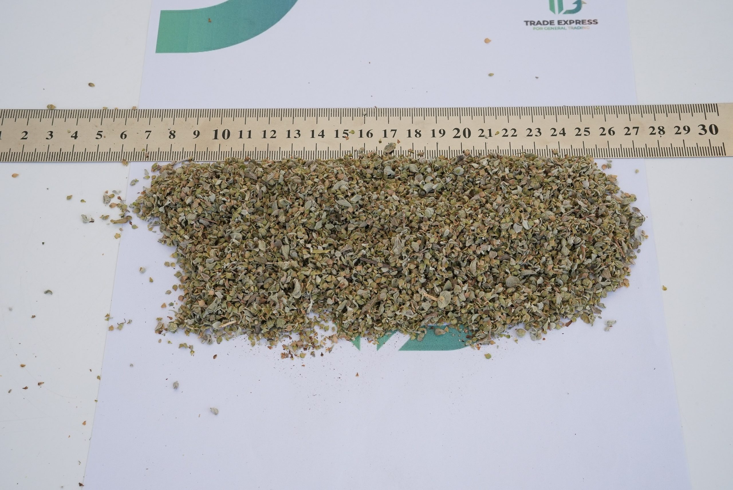 OREGANO - Image 3