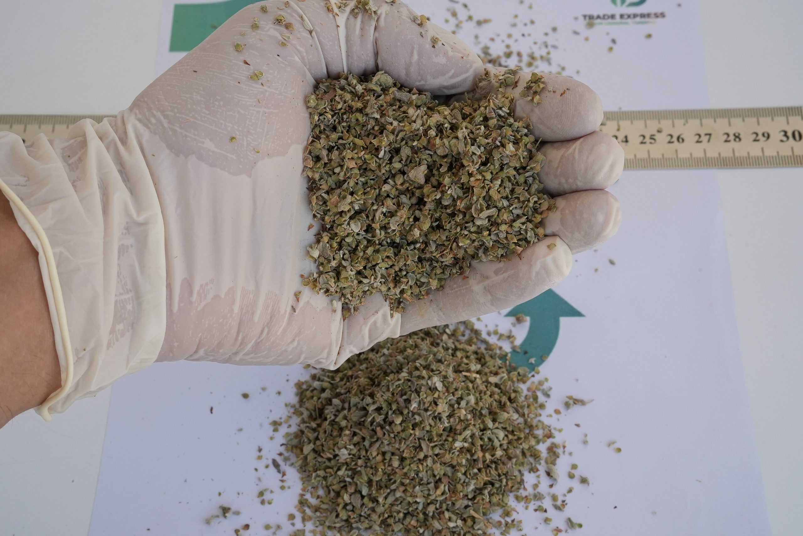 OREGANO - Image 2