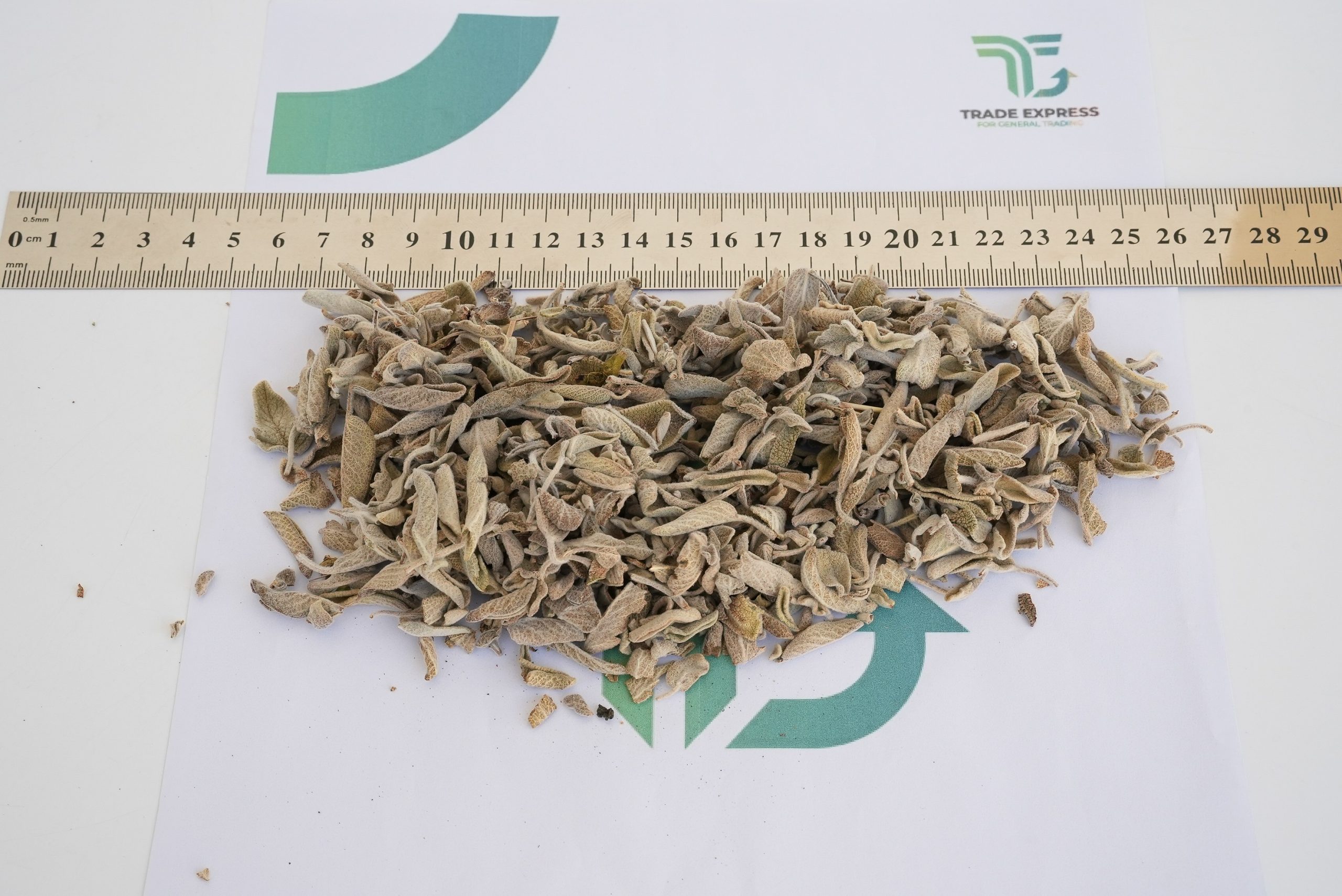 Sage - Image 3