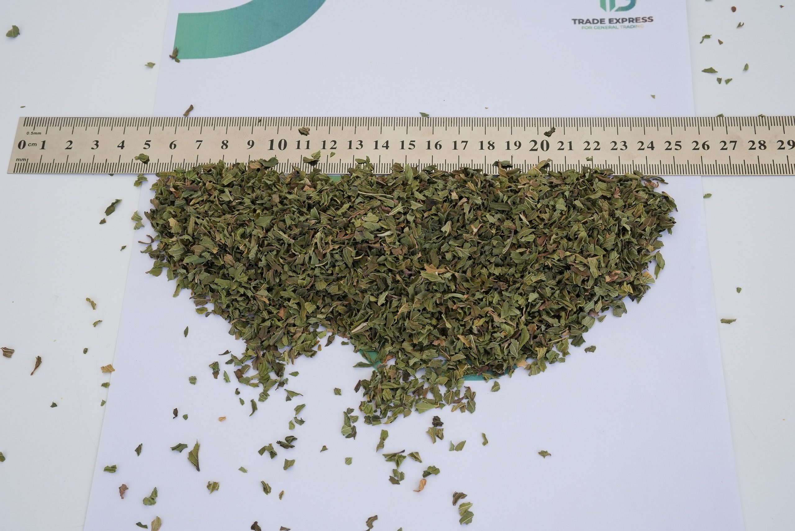 SPEARMINT - Image 3