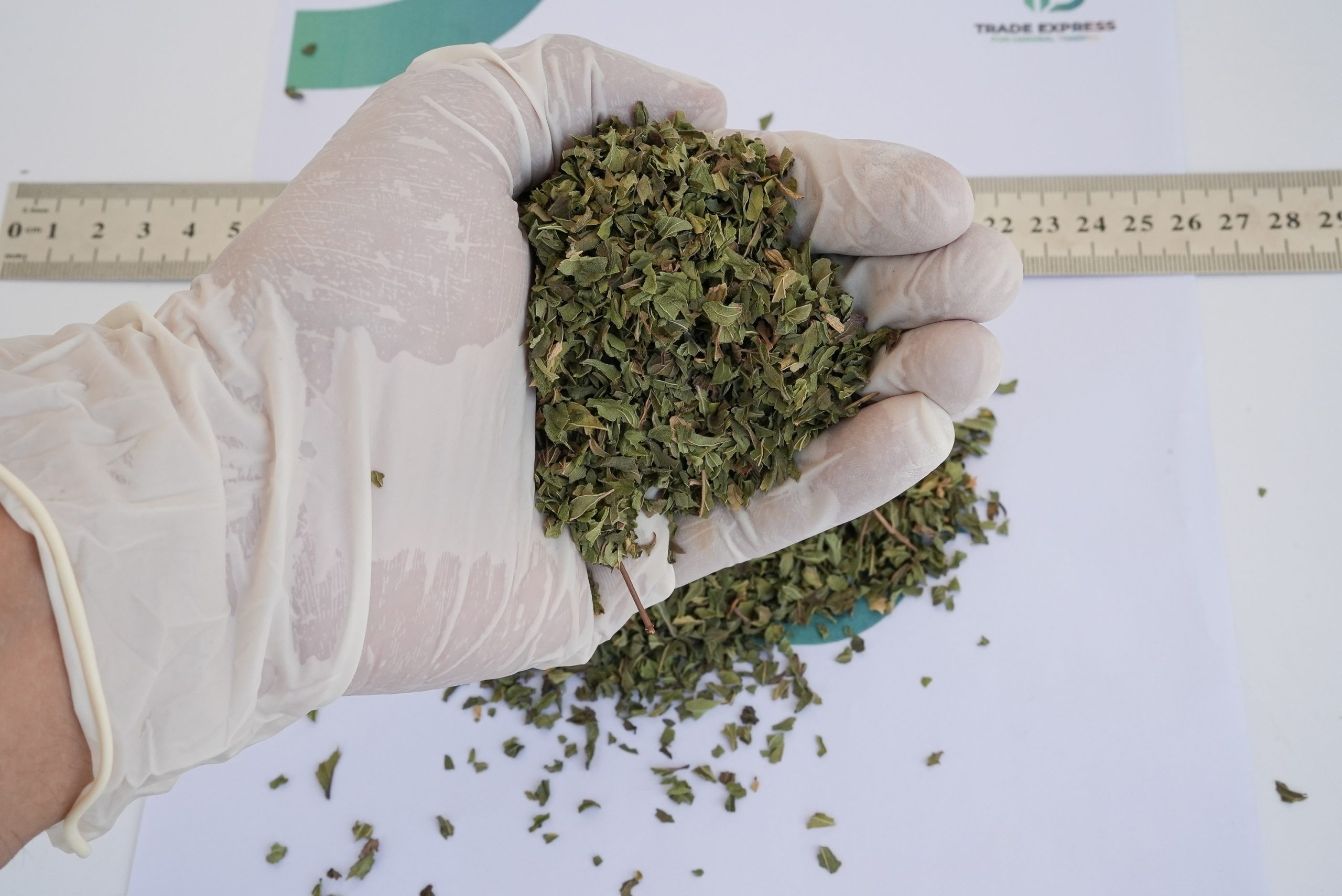 SPEARMINT - Image 2