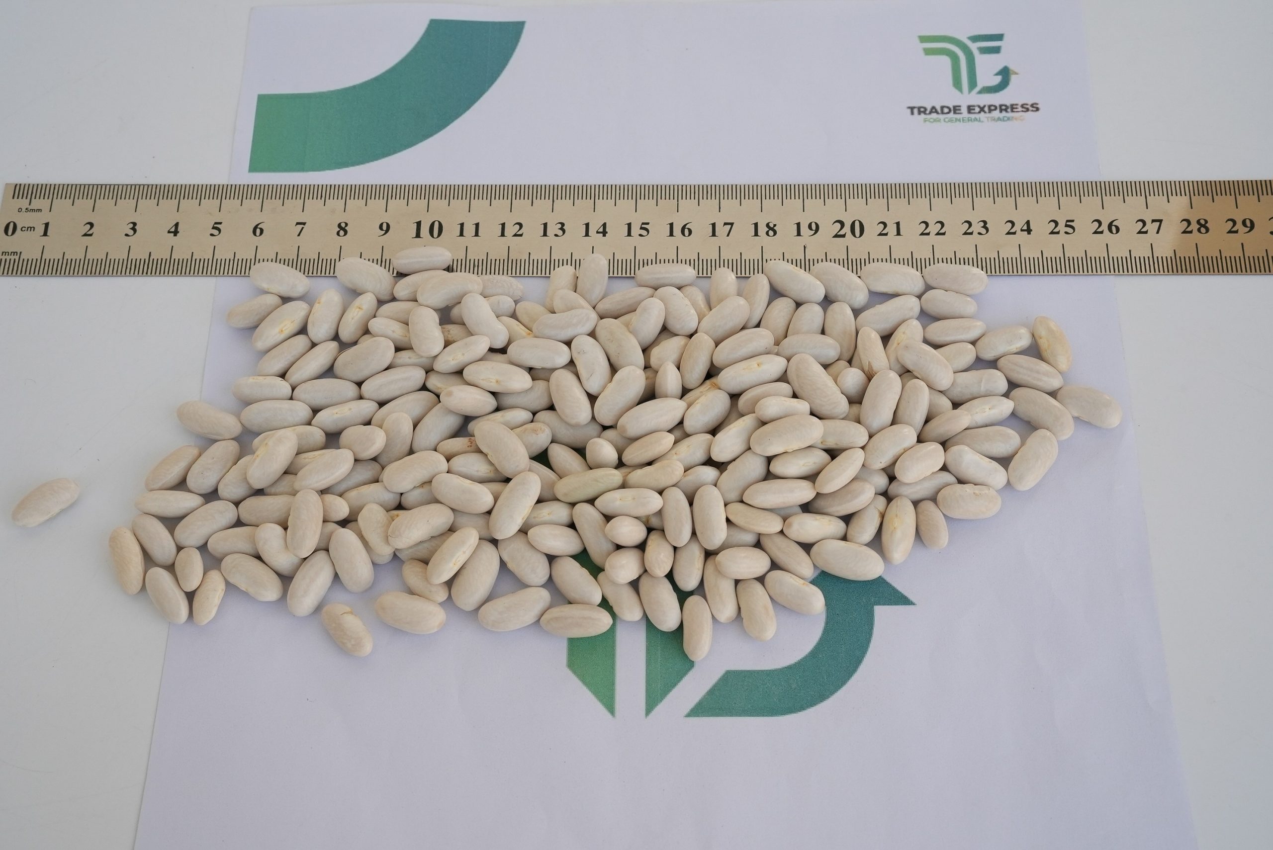 WHITE KIDNEY BEANS - Image 3