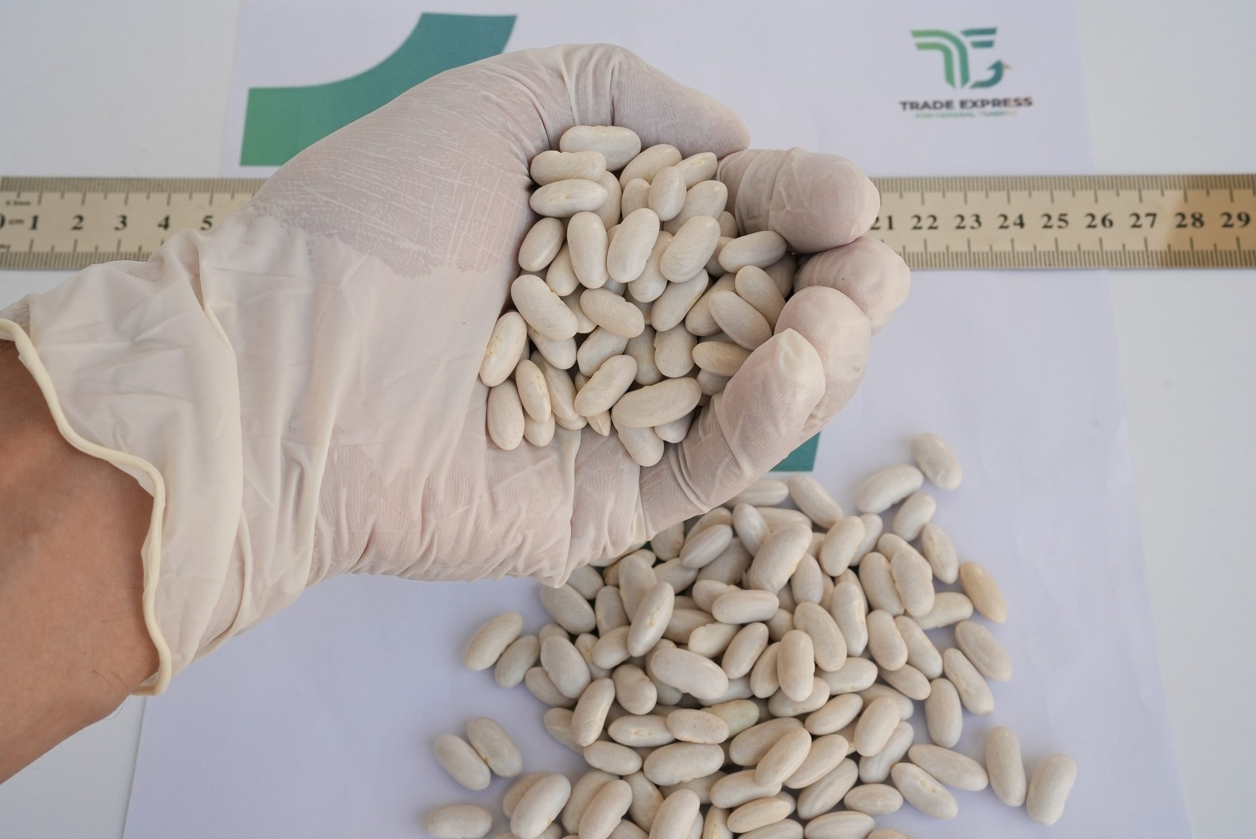 WHITE KIDNEY BEANS - Image 2