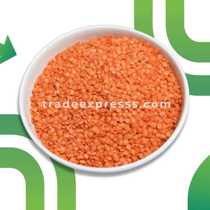 LENTILS