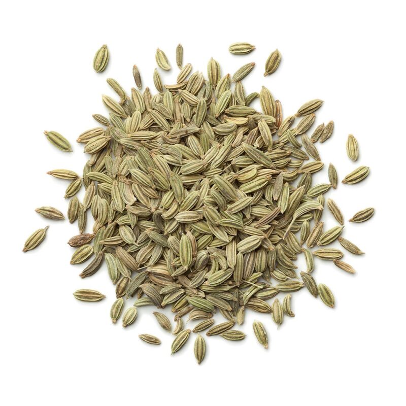 FENNEL